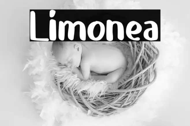 Limonea Example 3