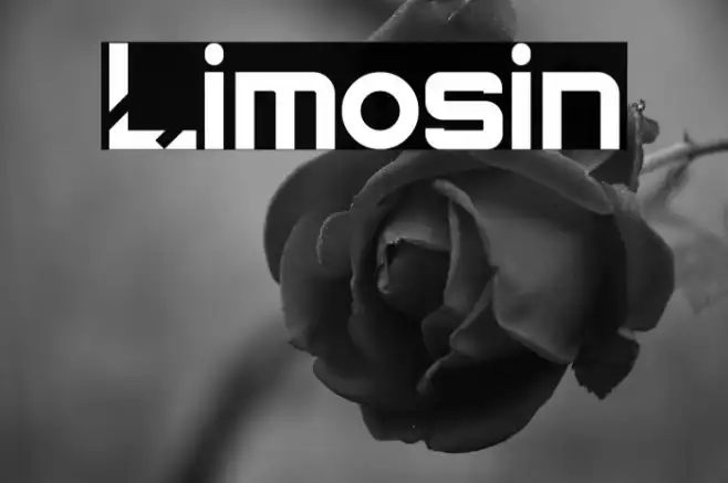 Limosin Example 1