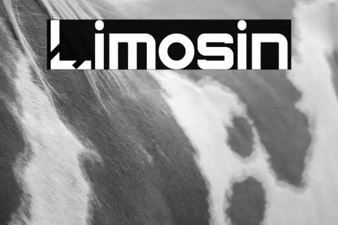 Limosin Example 2