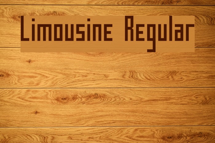 Limousine Regular Polices examples