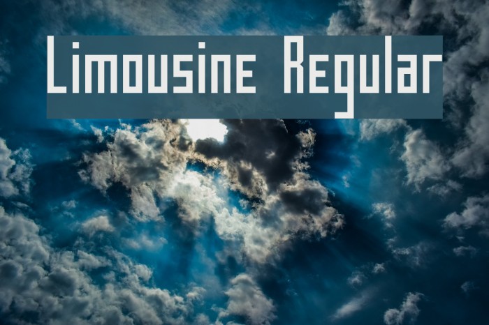 Limousine Regular Polices examples