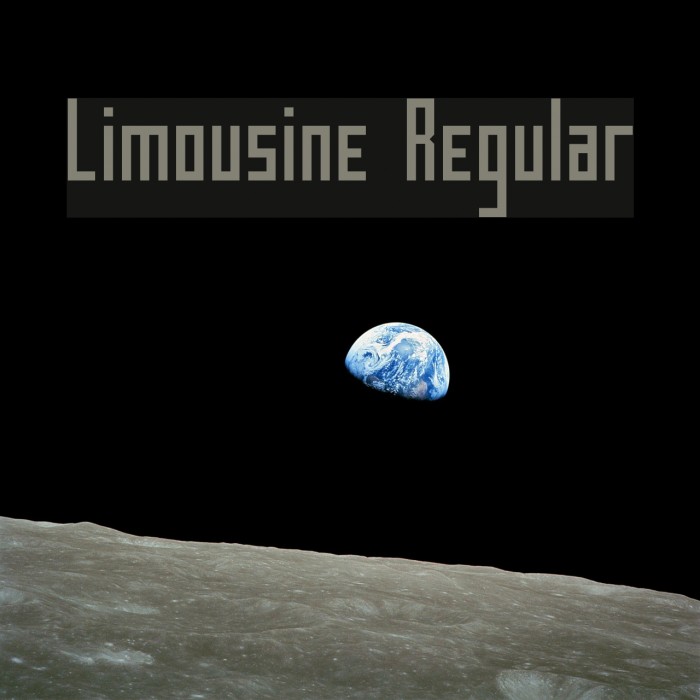 Limousine Regular Polices examples