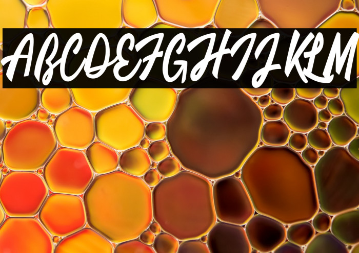 Limousines Personal Use  Example 1