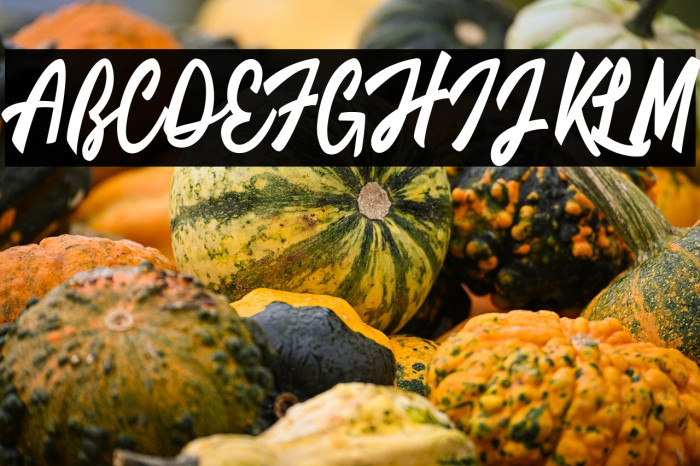 Limousines Personal Use  Example 3