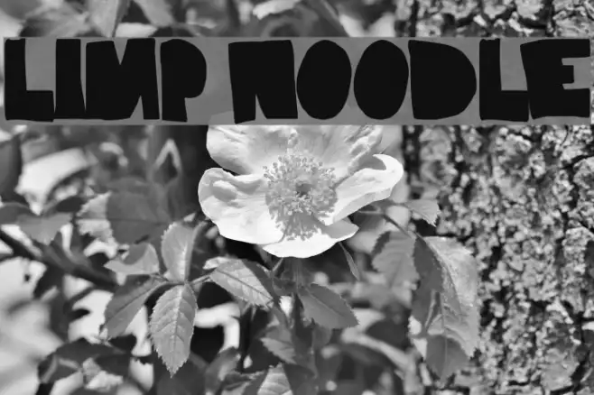 Limp Noodle Example 2