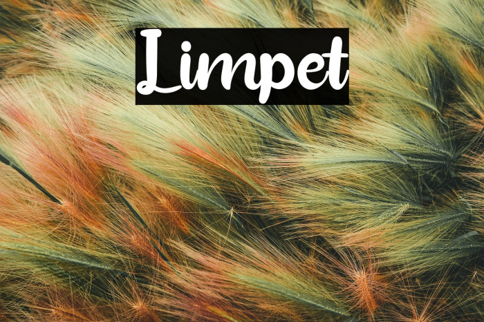 Limpet Example 2