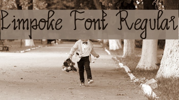 Limpoke Font Regular Font examples