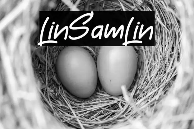 LinSamLin Font examples