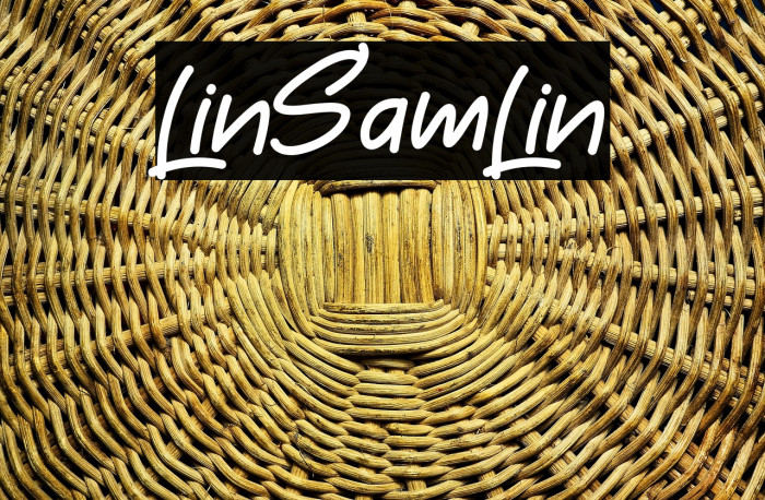 LinSamLin Example 3