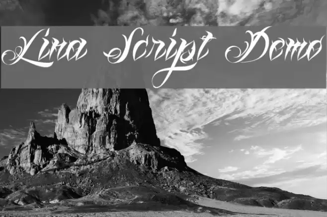 Lina Script Demo Schriftart examples