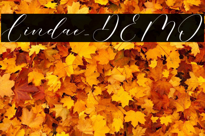 Lindae_DEMO Example 3