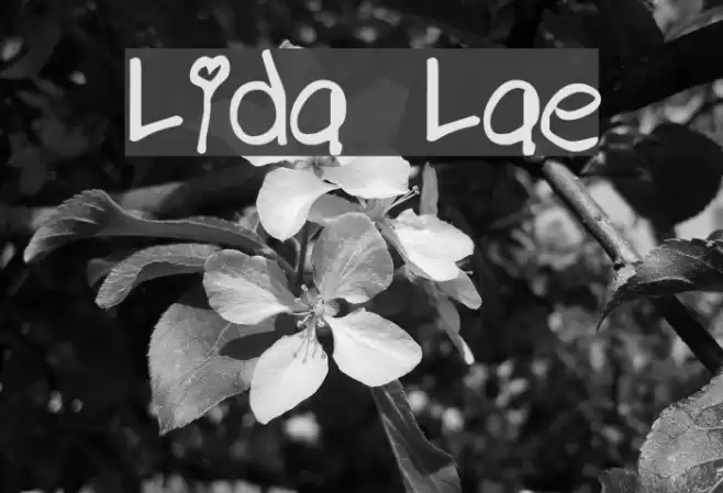 Lindas Lament Font examples