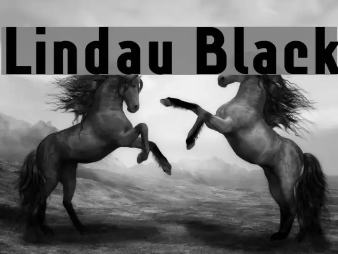 Lindau Black Font examples