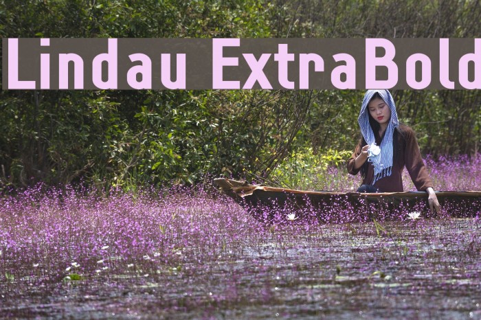 Lindau ExtraBold Font examples
