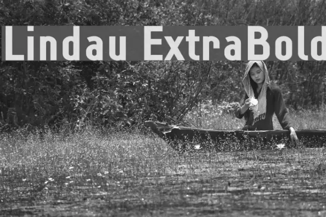 Lindau ExtraBold Example 1