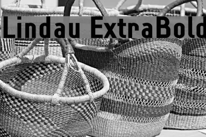 Lindau ExtraBold Example 3