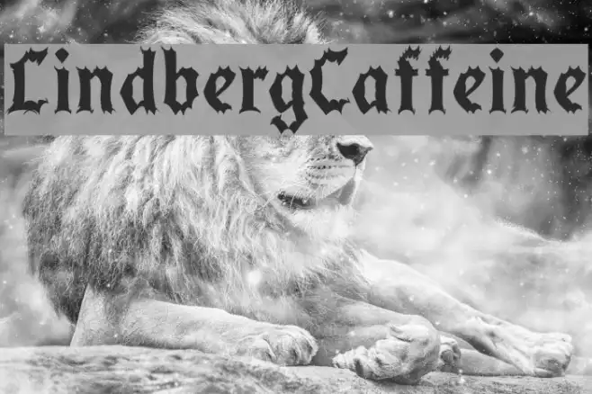 LindbergCaffeine Example 1