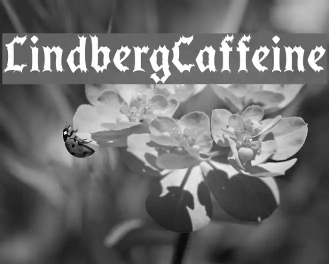 LindbergCaffeine Example 3