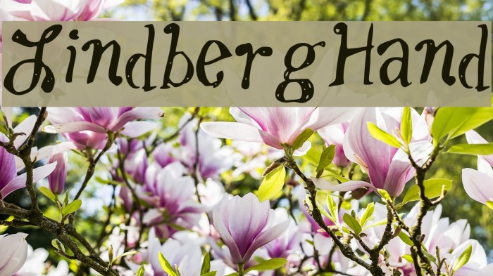 LindbergHand Example 2