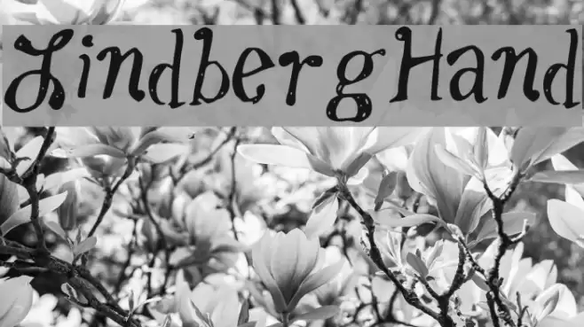 LindbergHand Font examples