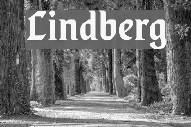 Lindberg Font examples