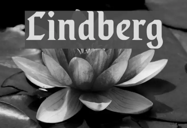 Lindberg Font examples