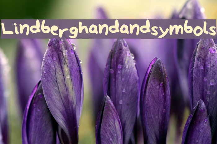Lindberg_hand_and_symbols Font examples