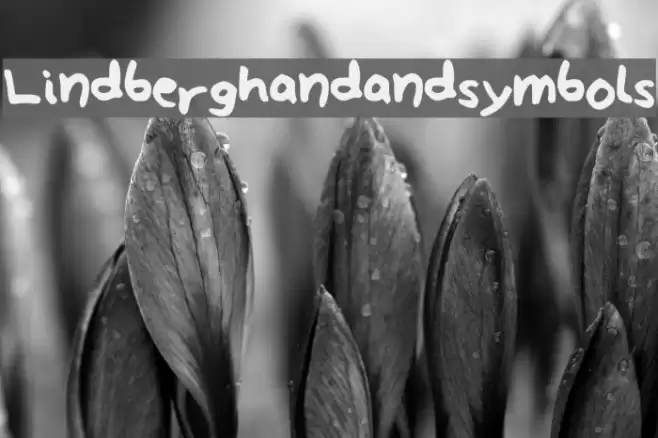 Lindberg_hand_and_symbols Font examples