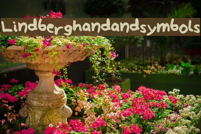 Lindberg_hand_and_symbols Font examples