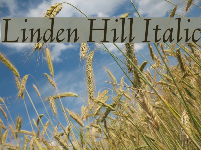 Linden Hill Italic Font examples