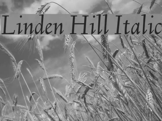 Linden Hill Italic Example 1