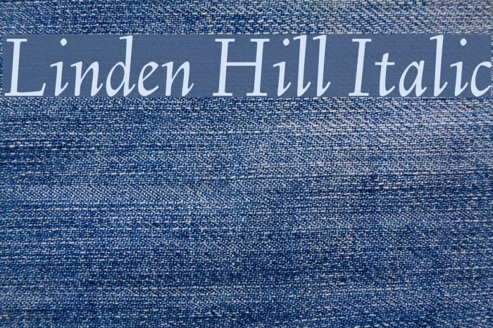 Linden Hill Italic Font examples