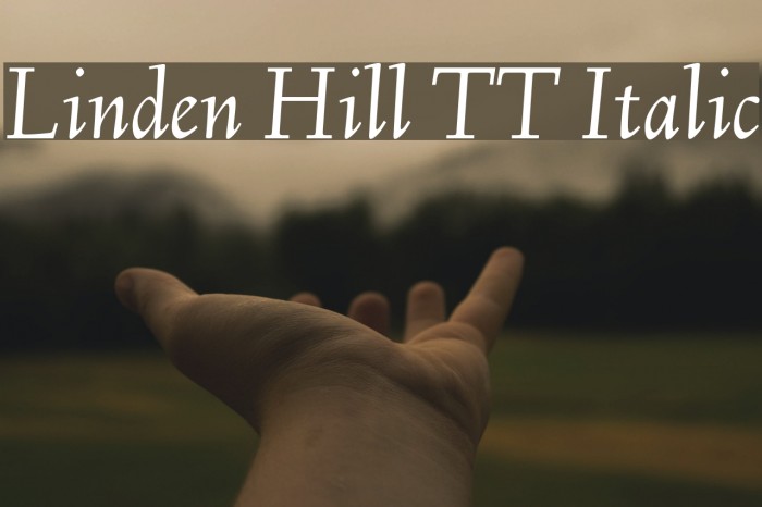 Linden Hill TT Italic Font examples