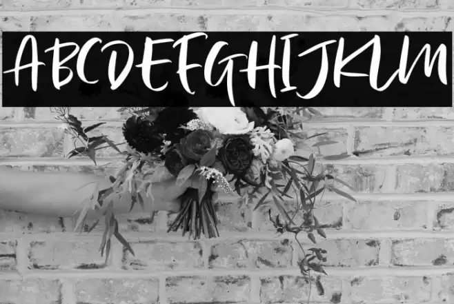 LindsayBrownDEMO Font examples