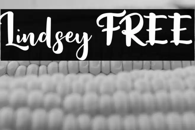 Lindsey FREE Font examples