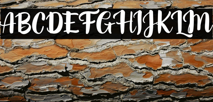 LindseyFREE Example 3