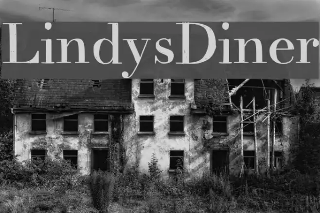 LindysDiner Example 3