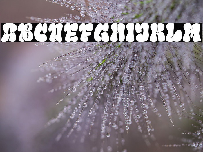 Line Gravity DEMO Regular Example 1