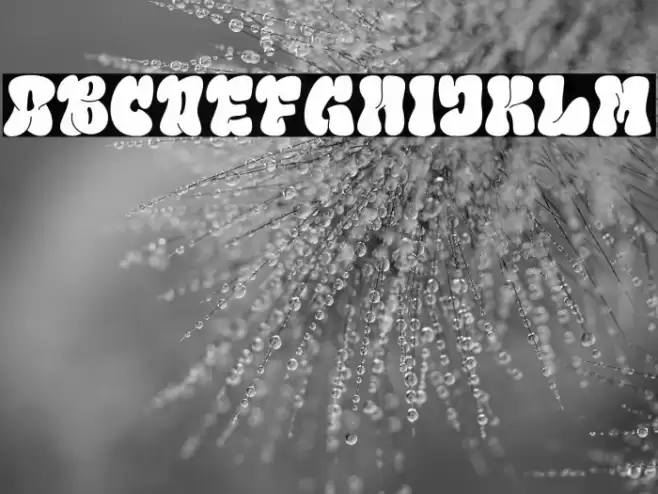 Line Gravity DEMO Regular Schriftart examples