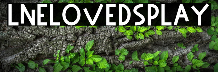 Line Love Display Example 2