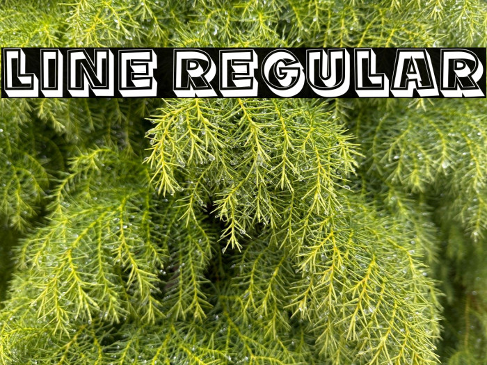 Line Regular Example 2