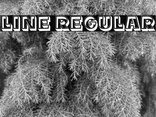 Line Regular Schriftart examples