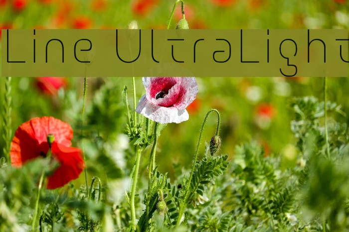 Line UltraLight Font examples