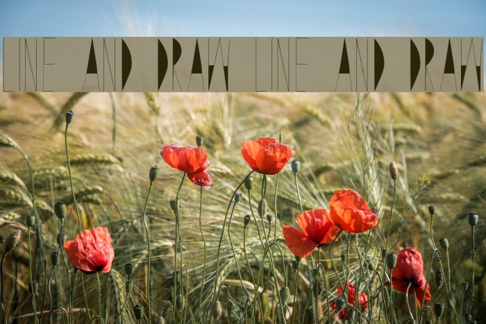 Line and Draw Line and Draw Example 1