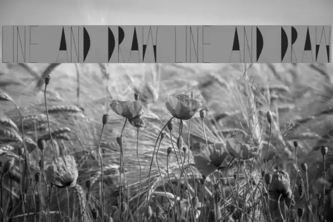 Line and Draw Line and Draw Font examples