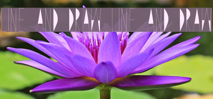 Line and Draw Line and Draw Example 2