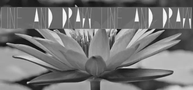 Line and Draw Line and Draw Font examples