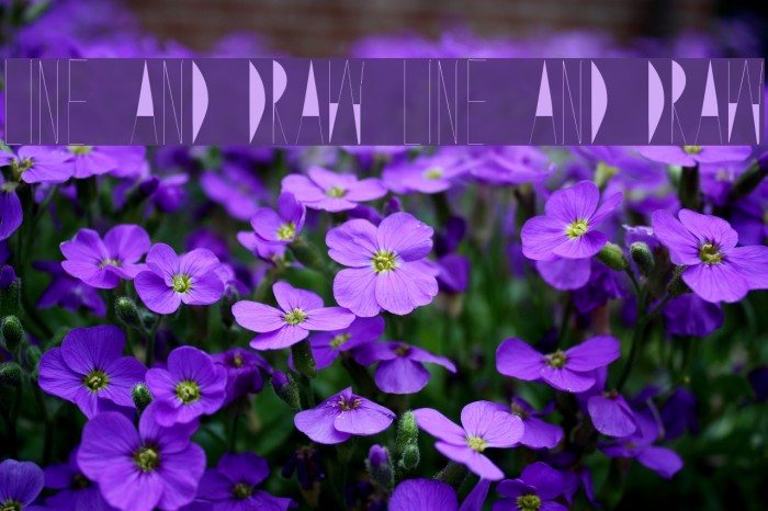 Line and Draw Line and Draw Example 3