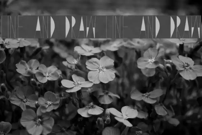 Line and Draw Line and Draw Font examples