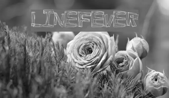 LineFever Font examples